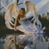 Схема «Ангел влюблённый в своё отражение»